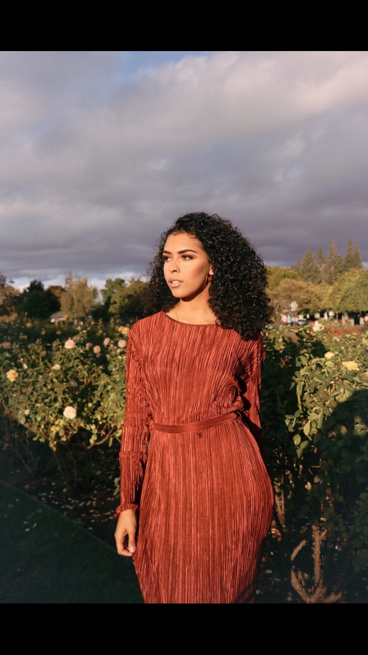 Burnt Orange Pleated Dress